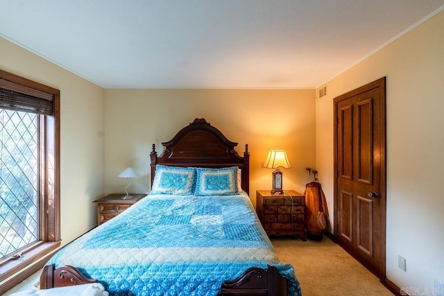 1110 Huntington Pl, Heber Springs, AR 72543 - bedroom featuring visible vents, multiple windows, and light colored carpet