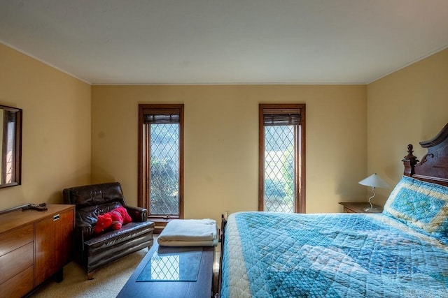 1110 Huntington Pl, Heber Springs, AR 72543 - bedroom featuring multiple windows and light colored carpet