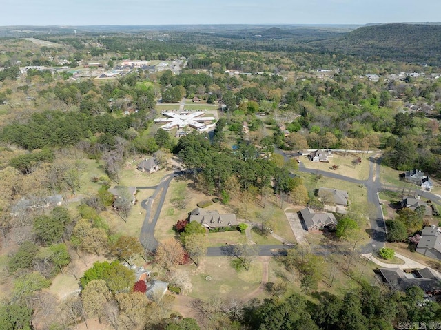 1110 Huntington Pl, Heber Springs, AR 72543 - birds eye view of property featuring a view of trees