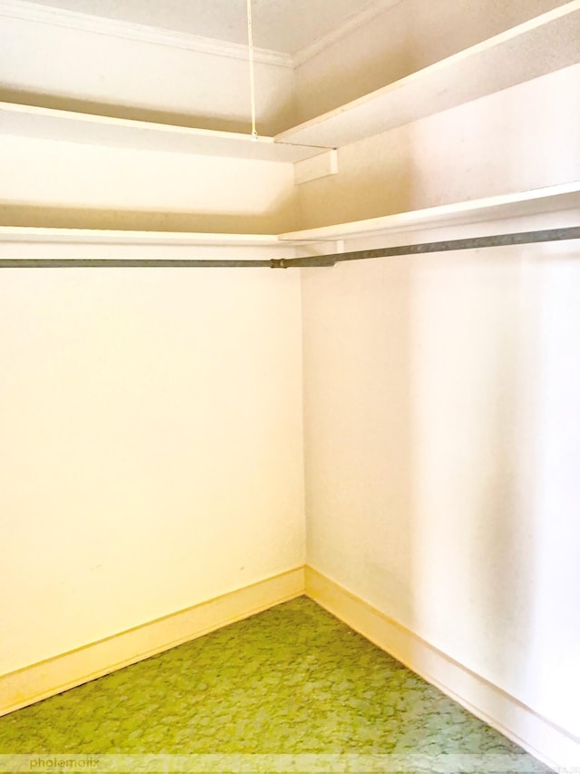 walk in closet with carpet flooring