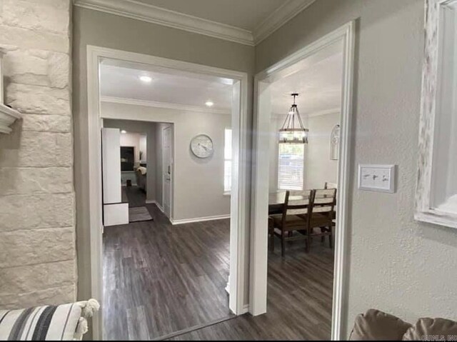 6 Timber Ridge Dr, Atlanta, TX 75551 - interior space with baseboards, a textured wall, ornamental molding, and dark wood-style flooring
