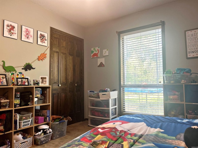 carpeted bedroom with a closet and multiple windows
