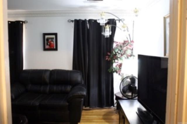 living room featuring ornamental molding and light wood finished floors