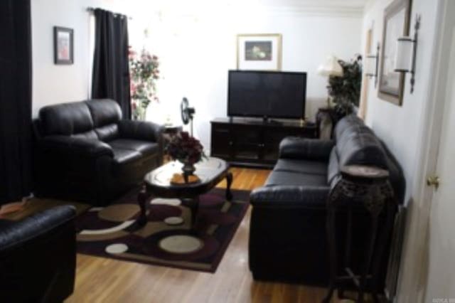 living area with ornamental molding and wood finished floors