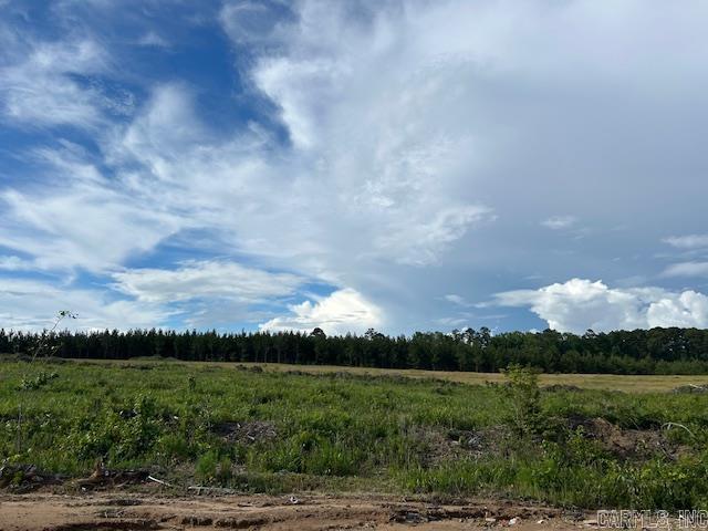 188 Kelton Ln, Hensley, AR 72065 - view of tree filled area with a rural view