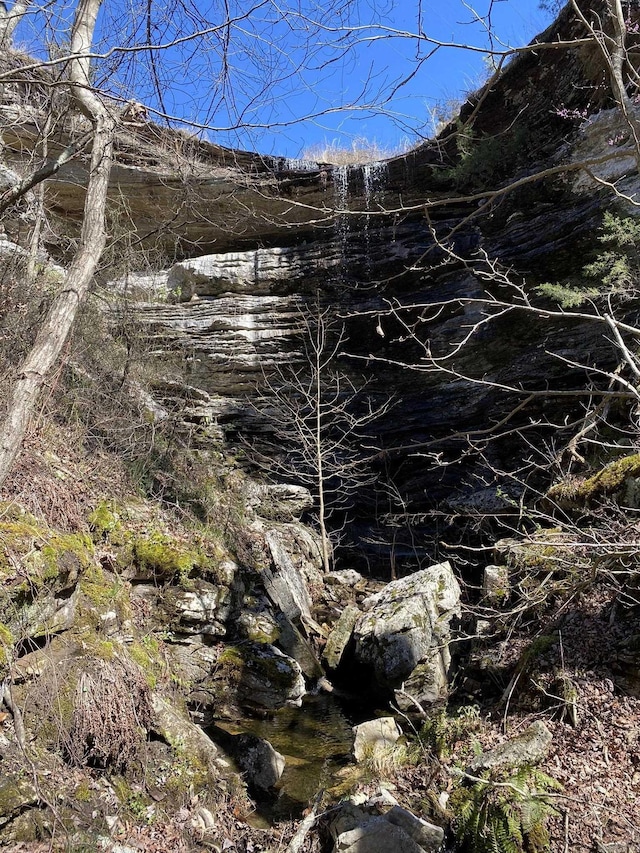 view of local wilderness