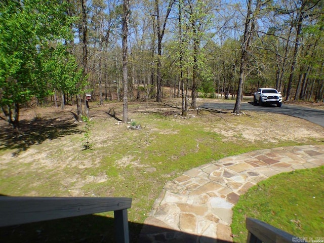 302 Veranda, Pearcy, AR 71964 - view of yard featuring driveway