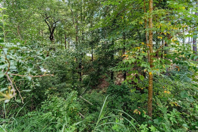 LOT10 Little Red River Dr, Searcy, AR 72143