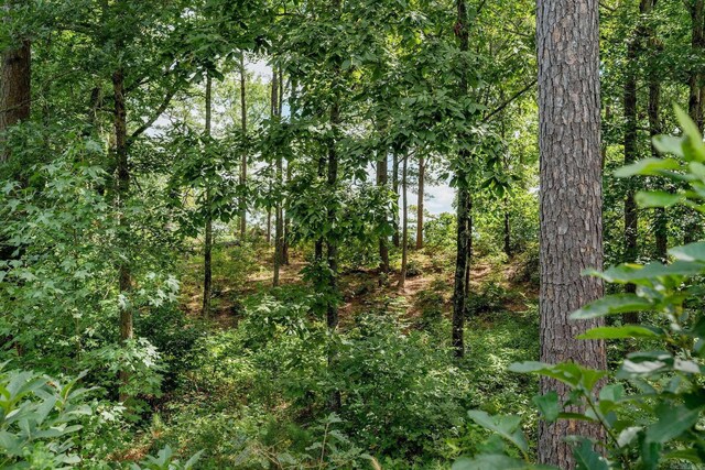 LOT10 Little Red River Dr, Searcy, AR 72143