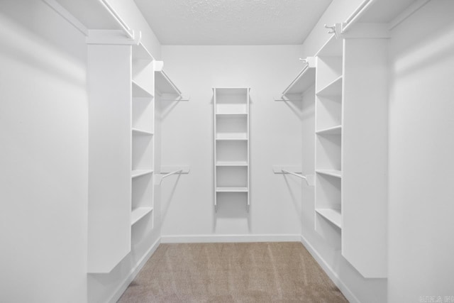 spacious closet with carpet flooring