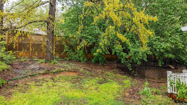 view of yard featuring fence