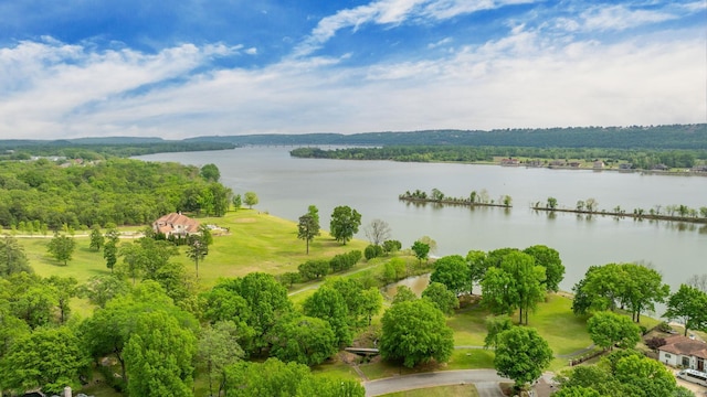 birds eye view of property with a water view and a wooded view