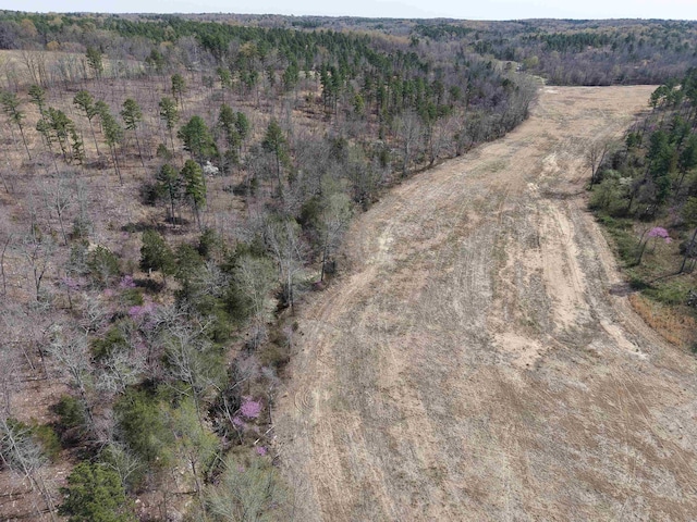 bird's eye view with a forest view