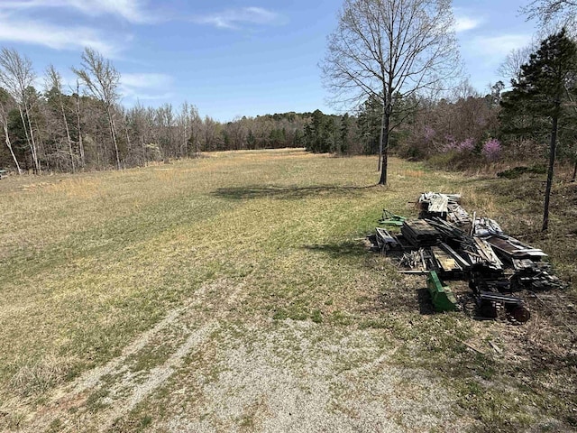 view of yard with a forest view