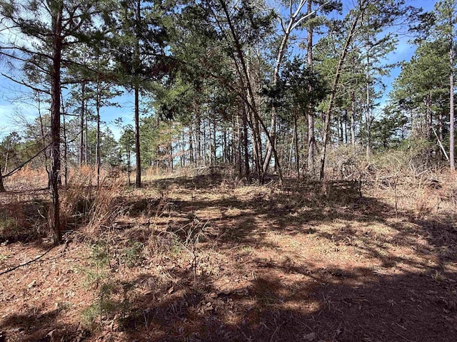 view of local wilderness