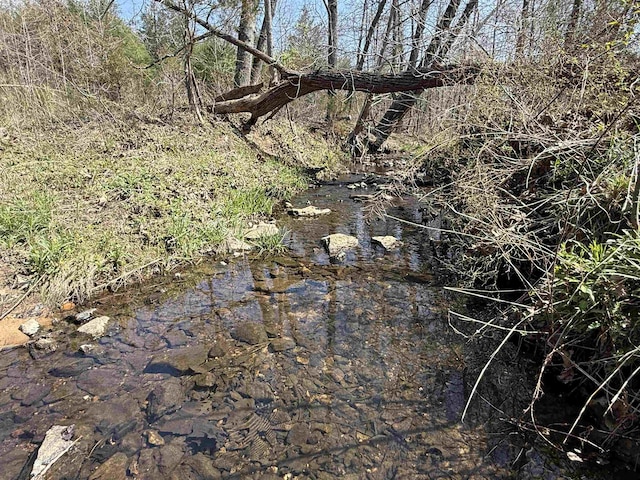 view of local wilderness featuring a wooded view