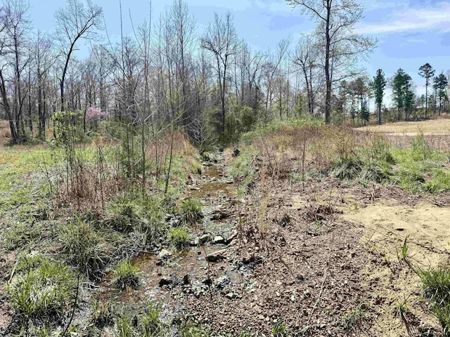 view of local wilderness