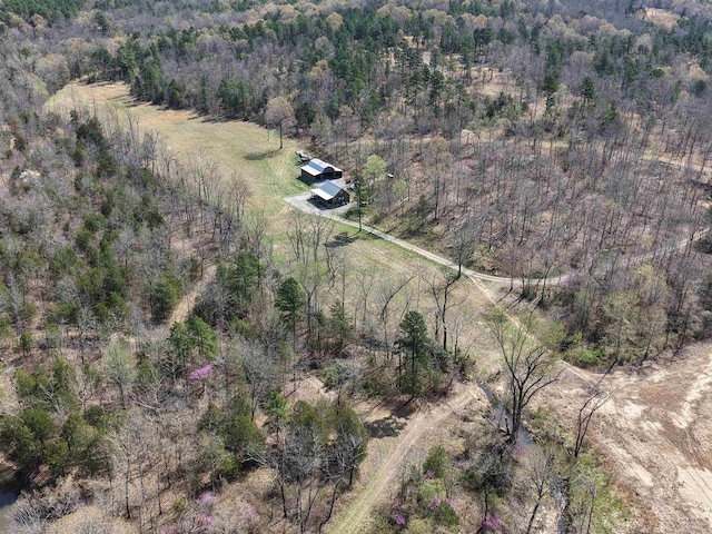 bird's eye view with a forest view