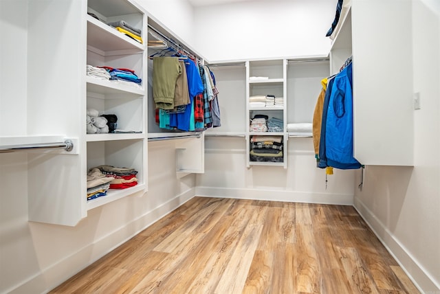 spacious closet featuring wood finished floors