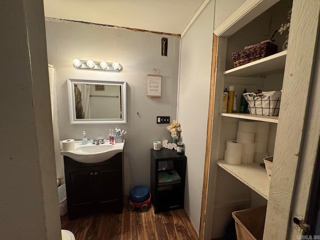 95 Terrafirma Ln, Ash Flat, AR 72513 - bathroom featuring vanity and wood finished floors