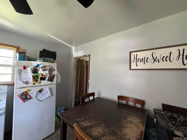 95 Terrafirma Ln, Ash Flat, AR 72513 - view of dining space
