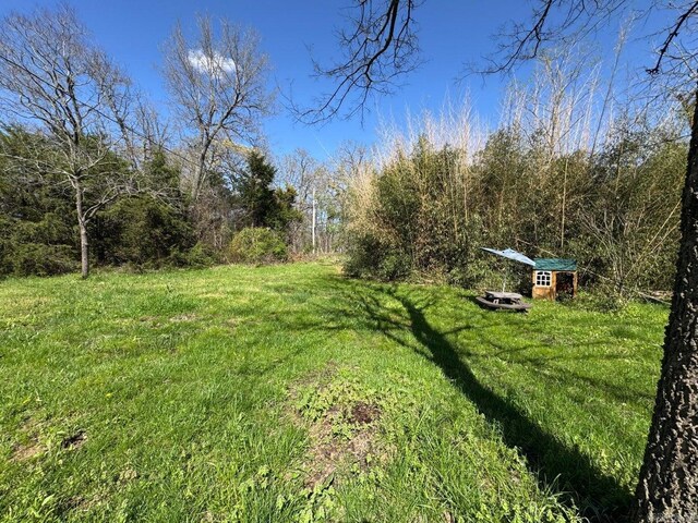 95 Terrafirma Ln, Ash Flat, AR 72513 - view of yard with an outbuilding