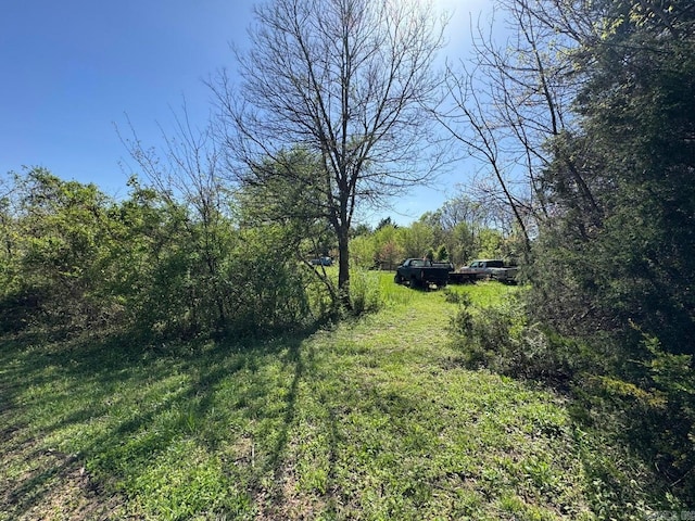 95 Terrafirma Ln, Ash Flat, AR 72513 - view of yard