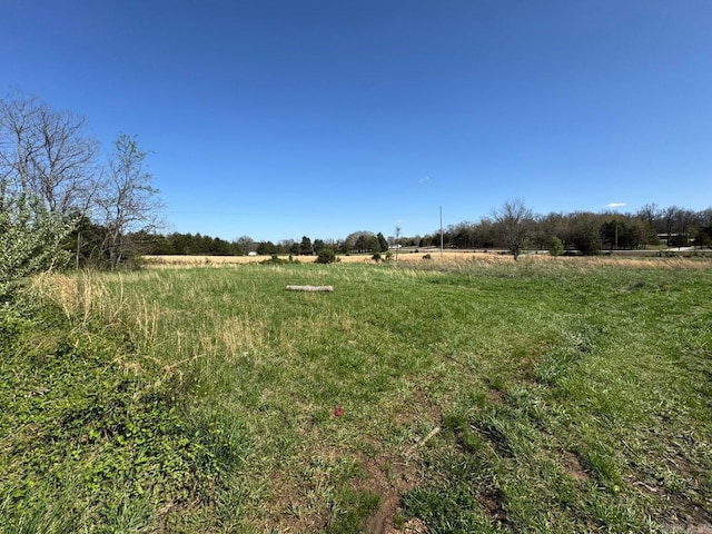 95 Terrafirma Ln, Ash Flat, AR 72513 - view of yard featuring a rural view