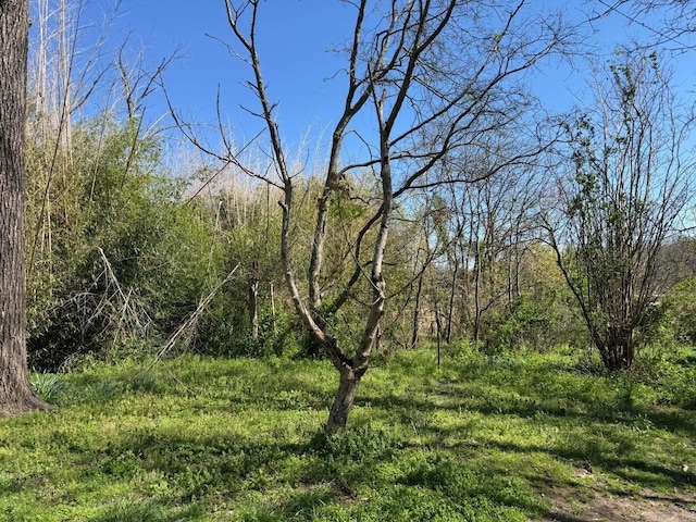95 Terrafirma Ln, Ash Flat, AR 72513 - view of landscape featuring a forest view