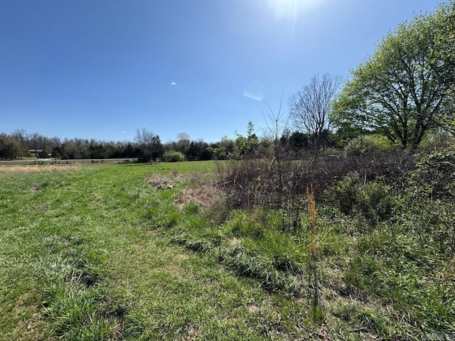 95 Terrafirma Ln, Ash Flat, AR 72513 - view of nature with a rural view