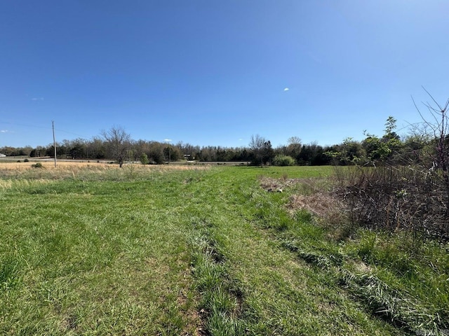 95 Terrafirma Ln, Ash Flat, AR 72513 - view of yard featuring a rural view