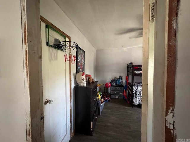 95 Terrafirma Ln, Ash Flat, AR 72513 - corridor featuring wood finished floors