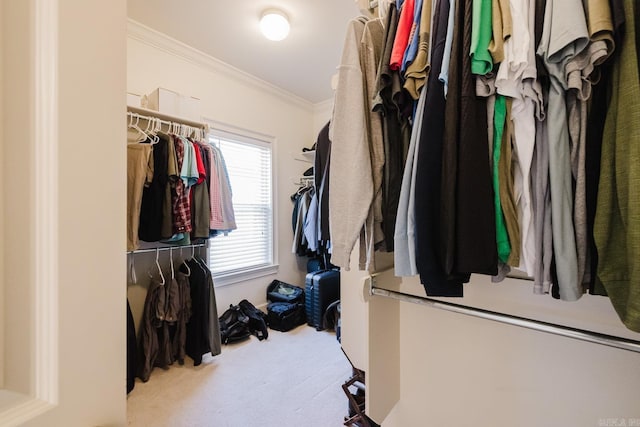 3015 Woodsgate, Little Rock, AR 72211 - spacious closet featuring carpet floors