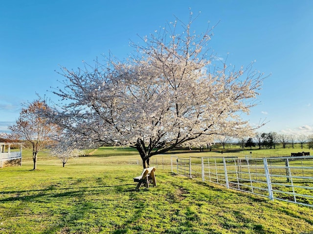 2832 Lacrosse Rd, Melbourne, AR 72556 - view of yard with a rural view and fence