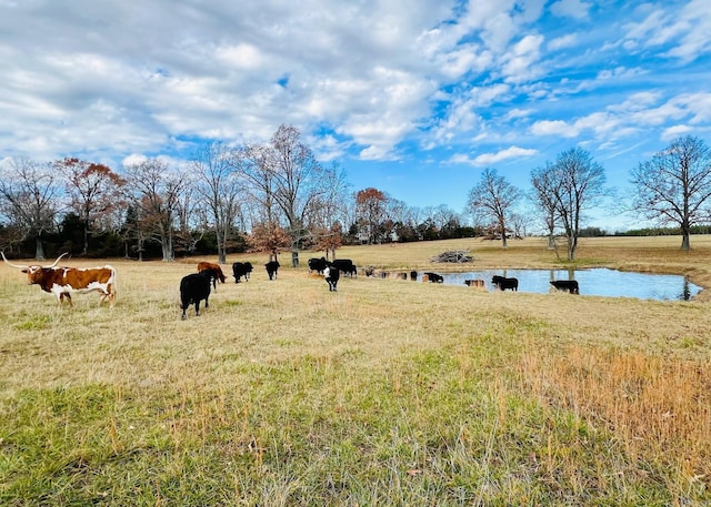 2832 Lacrosse Rd, Melbourne, AR 72556 - view of yard featuring a rural view and a water view