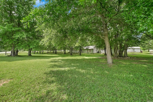 110 N Horatio Homesites Rd, Horatio, AR 71842 - view of yard