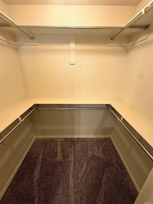 spacious closet with carpet flooring