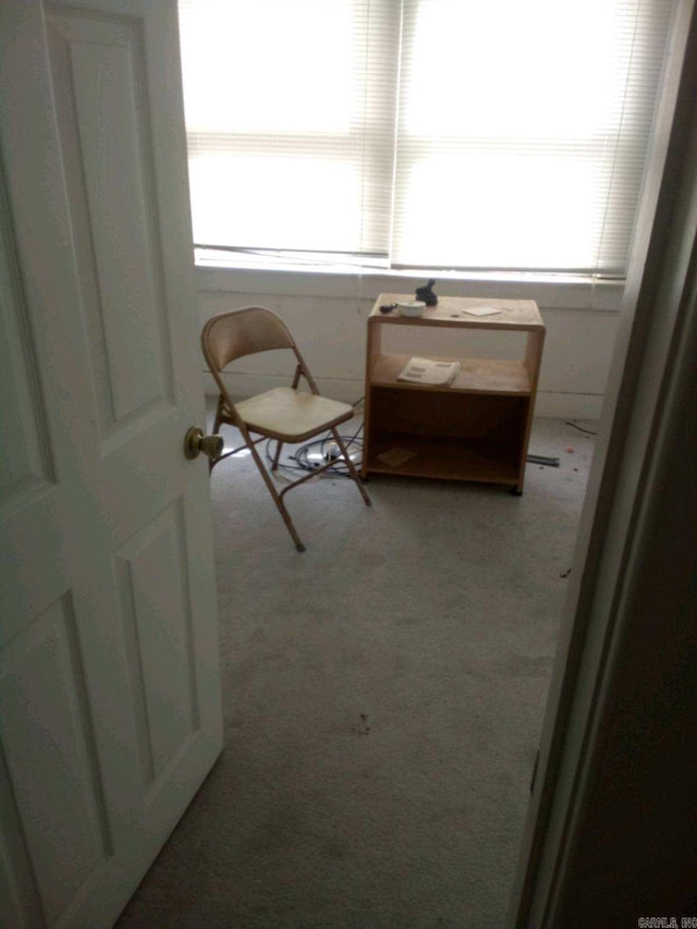 3419 Dr Martin Luther King Dr, Little Rock, AR 72206 - interior space featuring light carpet and plenty of natural light