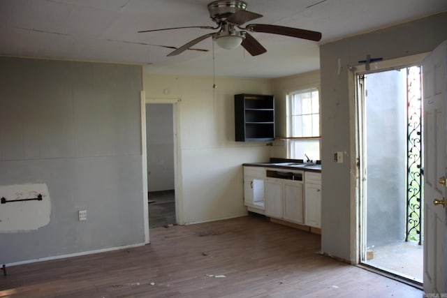 kitchen with a sink, ceiling fan, and light wood-style floors