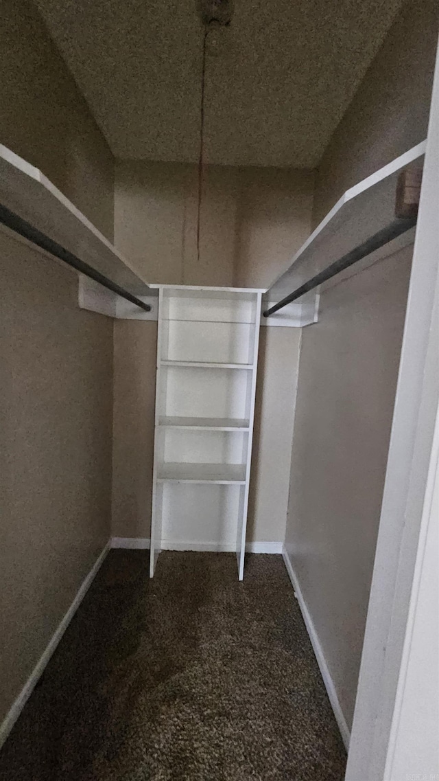 walk in closet with carpet flooring