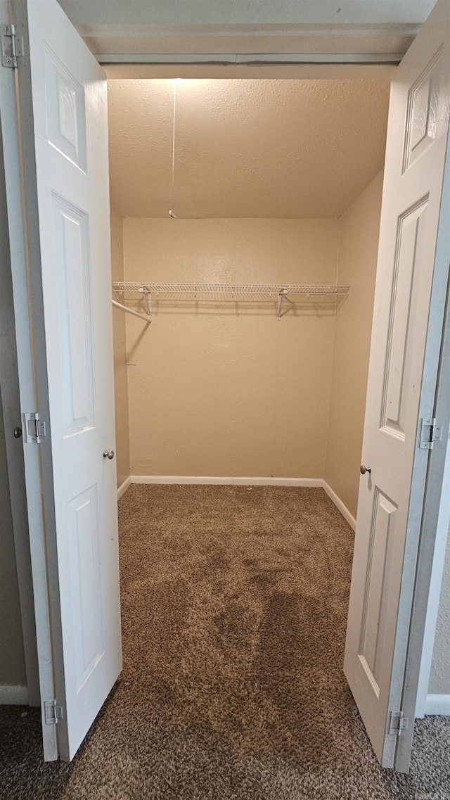 walk in closet with carpet floors