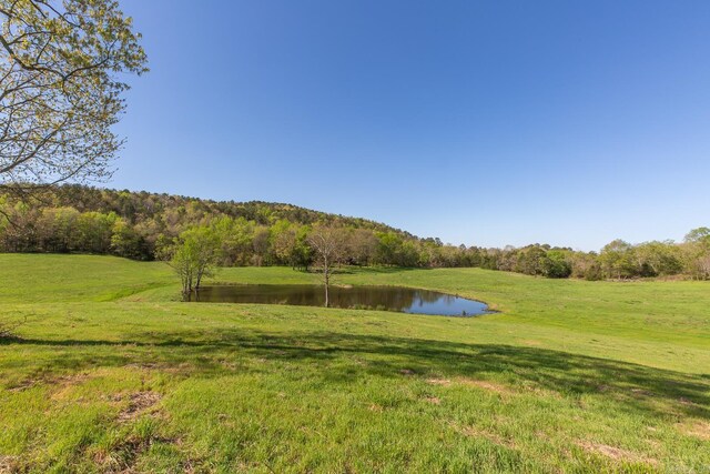 UNK Polk Rd Unit 670, Mena, AR 71953