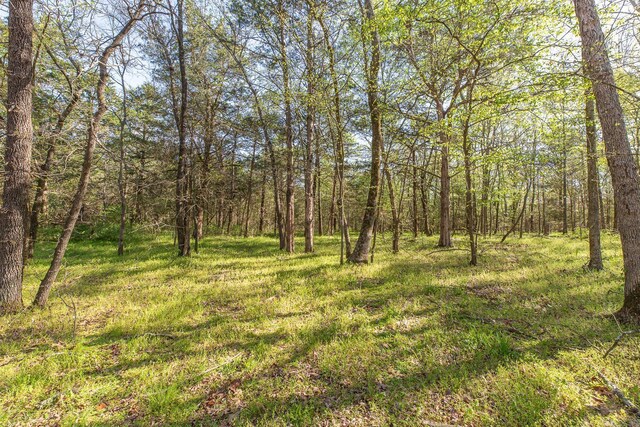UNK Polk Rd Unit 670, Mena, AR 71953