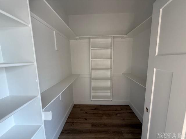 walk in closet featuring wood finished floors