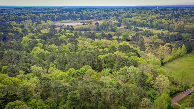 7 Ridge Creek Pt, Arkadelphia, AR 71923 - drone / aerial view with a wooded view