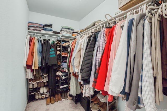 spacious closet with carpet