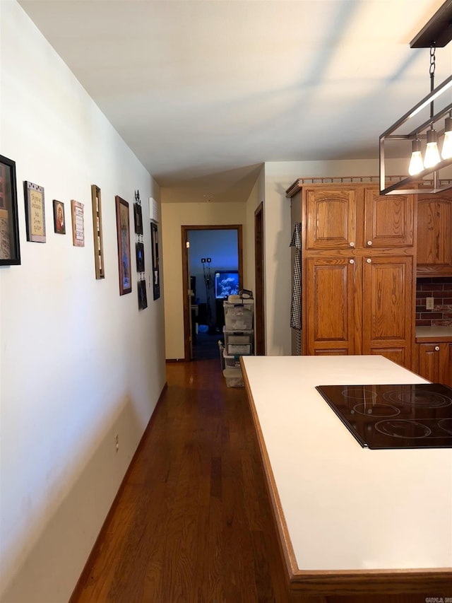 hall featuring dark wood finished floors