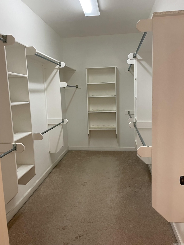 spacious closet with carpet flooring