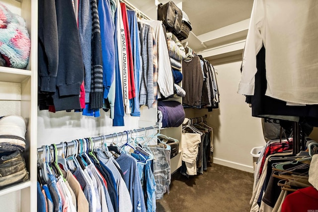 walk in closet with carpet