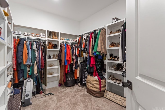 spacious closet featuring carpet